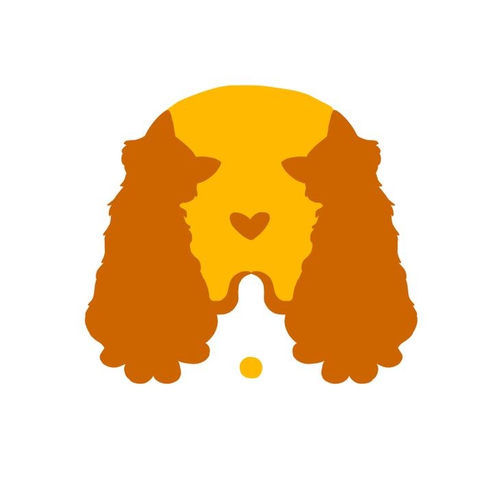 test visual