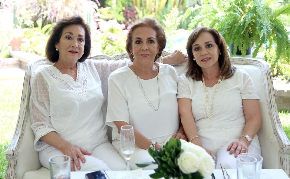 Luz Amelia, Vicky y Rosa