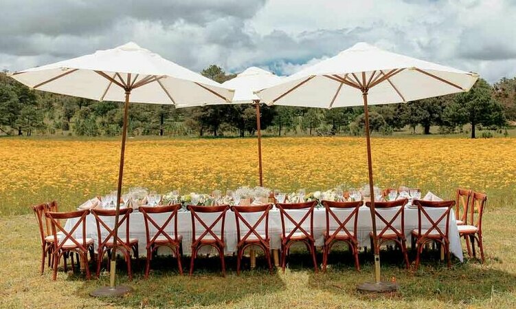 La naturaleza del Rancho El Duranguense sirvió como decoración de la celebración Fotos: Alejandra Gómez Junco