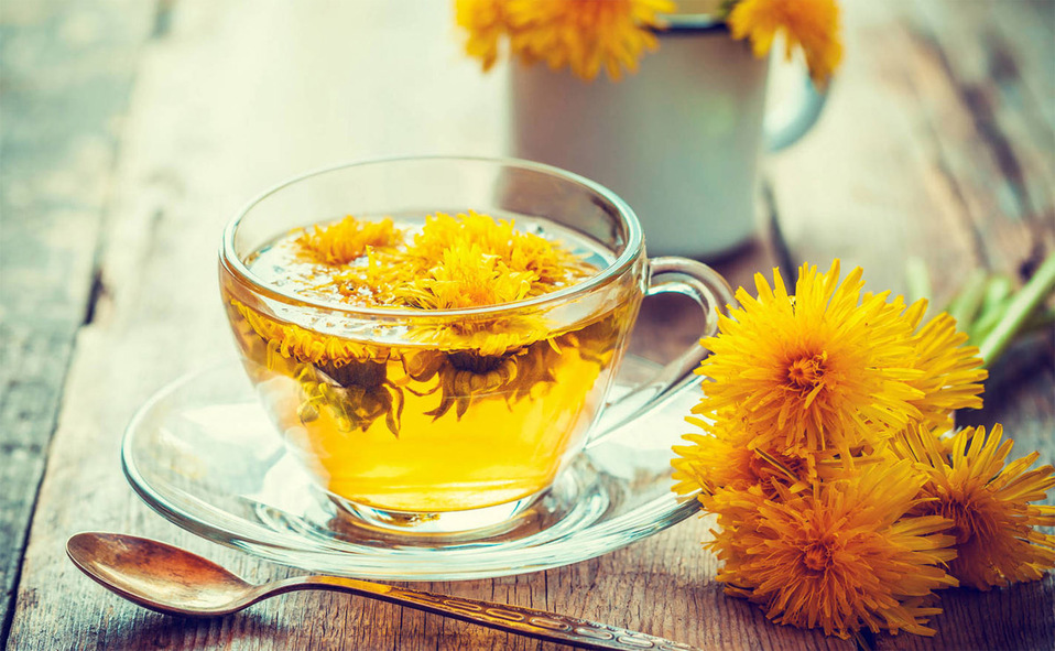 té de diente de león