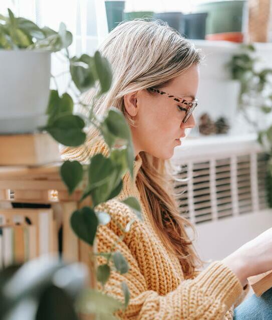 Plantas en otoño