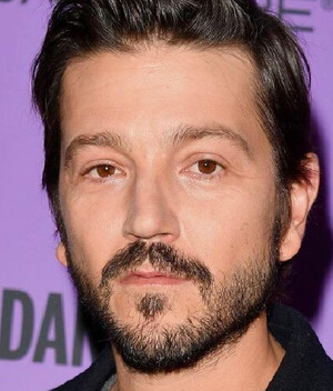 Diego Luna (Foto: Instagram)