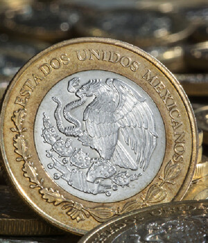 Esta moneda de 10 pesos es de las más buscadas por los coleccionistas (Foto: Shutterstock).