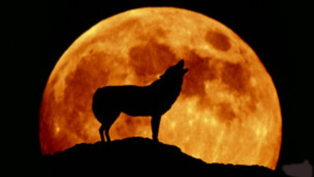 Eclipse lunar parcial 3