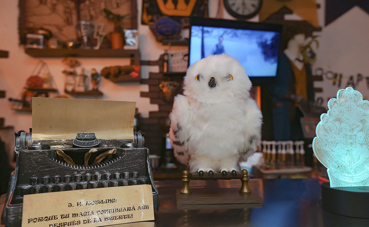 HARRY POTTER LLEGA A TOLUCA