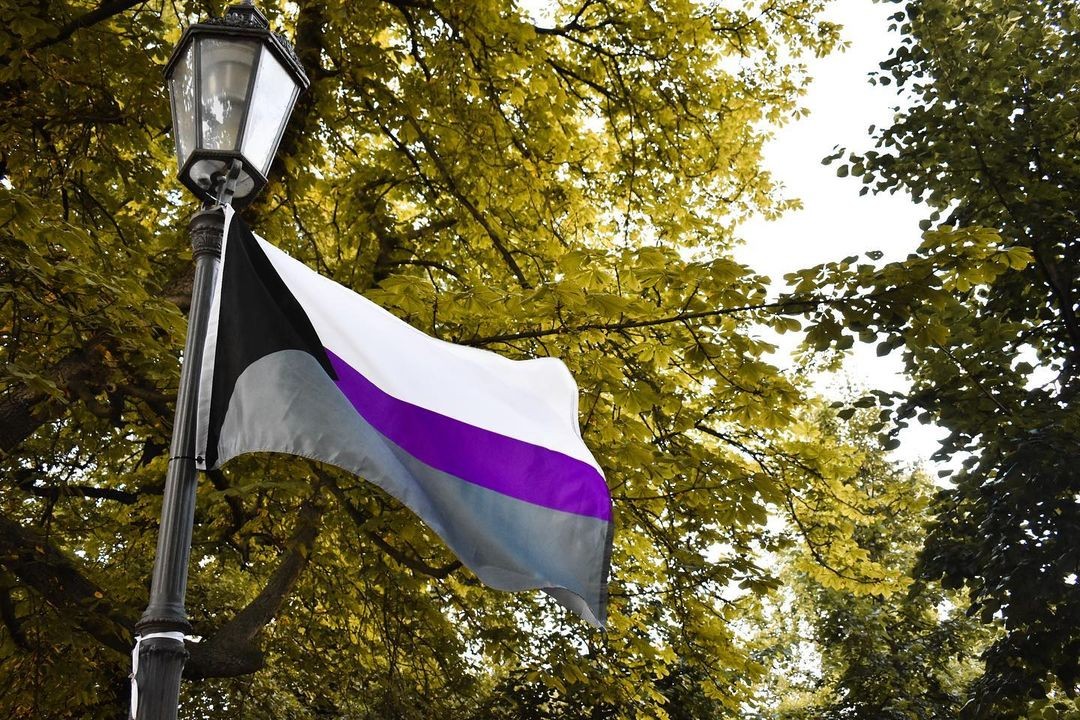 DEMISEXUAL