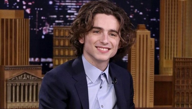 Timothée Chalamet. (Foto: Instagram).