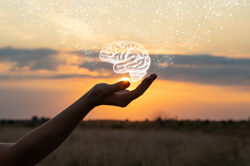 Cerebro. Imagen: Getty