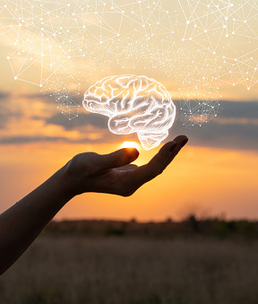 Cerebro. Imagen: Getty