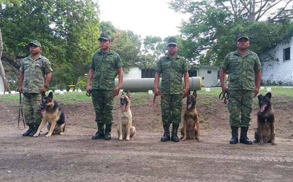 ejercito