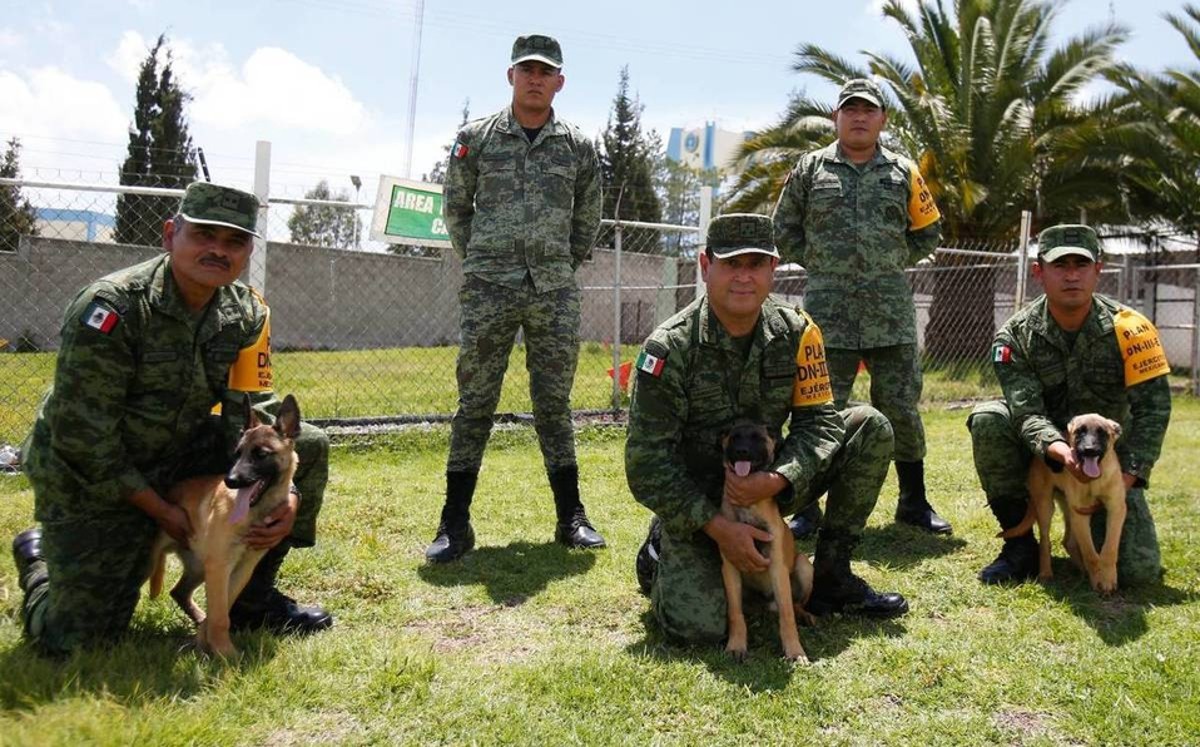 ejército mexicano