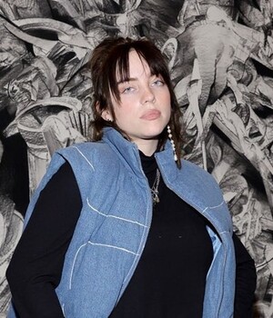 Billie Eilish detiene concierto. (Foto: Instagram).