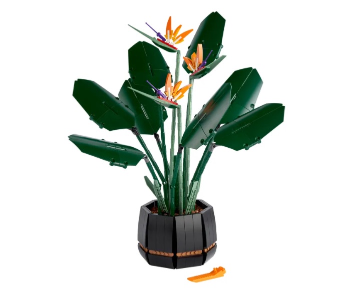 Una flor con todo y maceta es todo un compromiso... lo bueno es que hay otras opciones