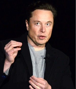 Ella es Natasha Bassett, la nueva novia de Elon Musk (Foto: Instagram)