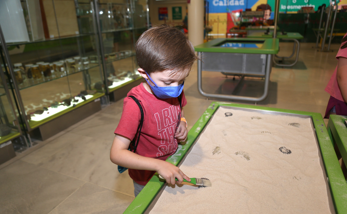 Aprendiendo sobre paleontología