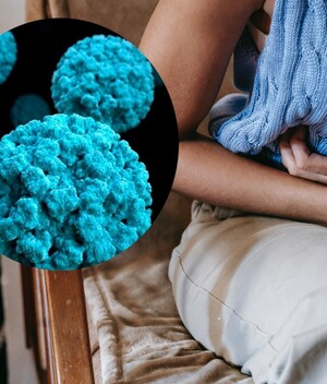 Norovirus: síntomas y cómo se contagia. (Foto: Instagram).