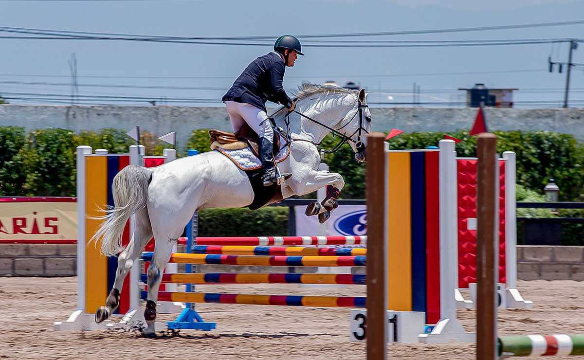 Copa Ford en Hípico Rocinante