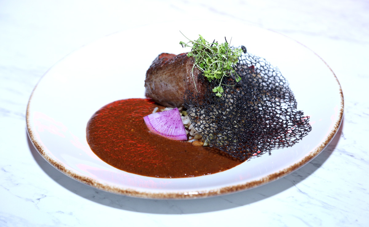 Filete de res con mole lagunero, arroz salvaje, arándanos y pepita de calabaza