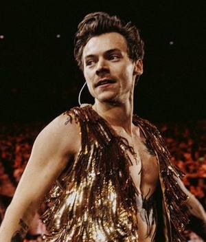 Harry Styles ayudó a un fan a salir del clóset durante un concierto