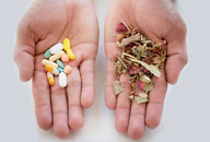Los investigadores continúan analizando los posibles efectos secundarios de la combinación de herbolaria con los medicamentos (Foto: Cortesía)