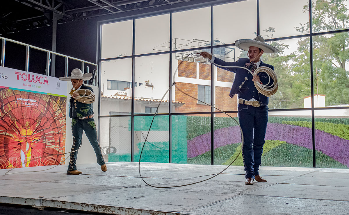 Muestra artística