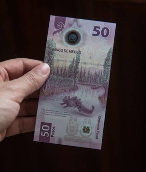 ¡Búscalo! Este billete de 50 pesos del ajolote se vende hasta en 500 mil