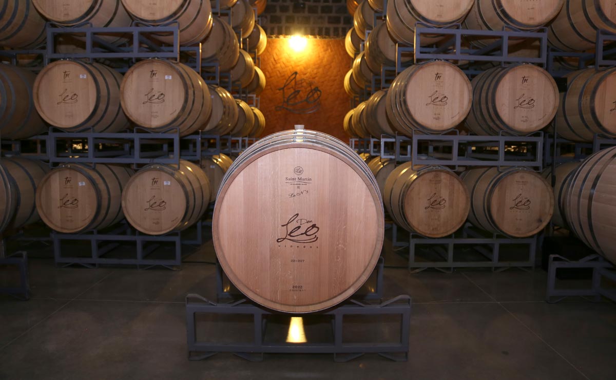 Bodega de Viñedos Don Leo