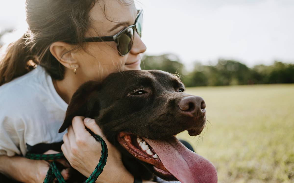 Fisioterapia para mascotas. (Foto: Pexels).