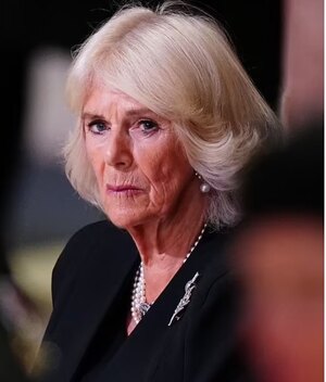 Así fue como la Reina Camilla le rindió homenaje a Isabel II (Foto: Instagram)