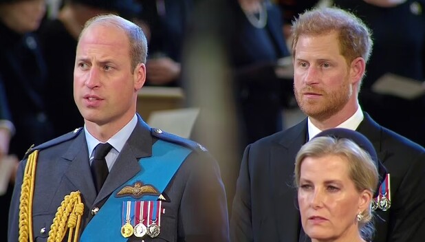William y Harry caminan juntos tras el ataúd de la Reina Isabel (Foto: Instagram)