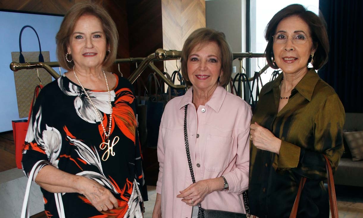 Hortencia Zavala de González, Odel Porete de Gómez del Campo  y Ana Elida Pico