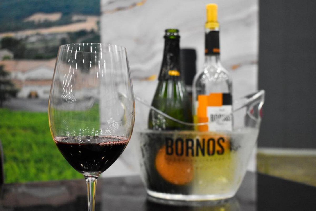 Bornos Bodegas y Viñedos es un grupo que está integrado por seis bodegas de seis zonas vinícolas de España. (Minerva Ramos)