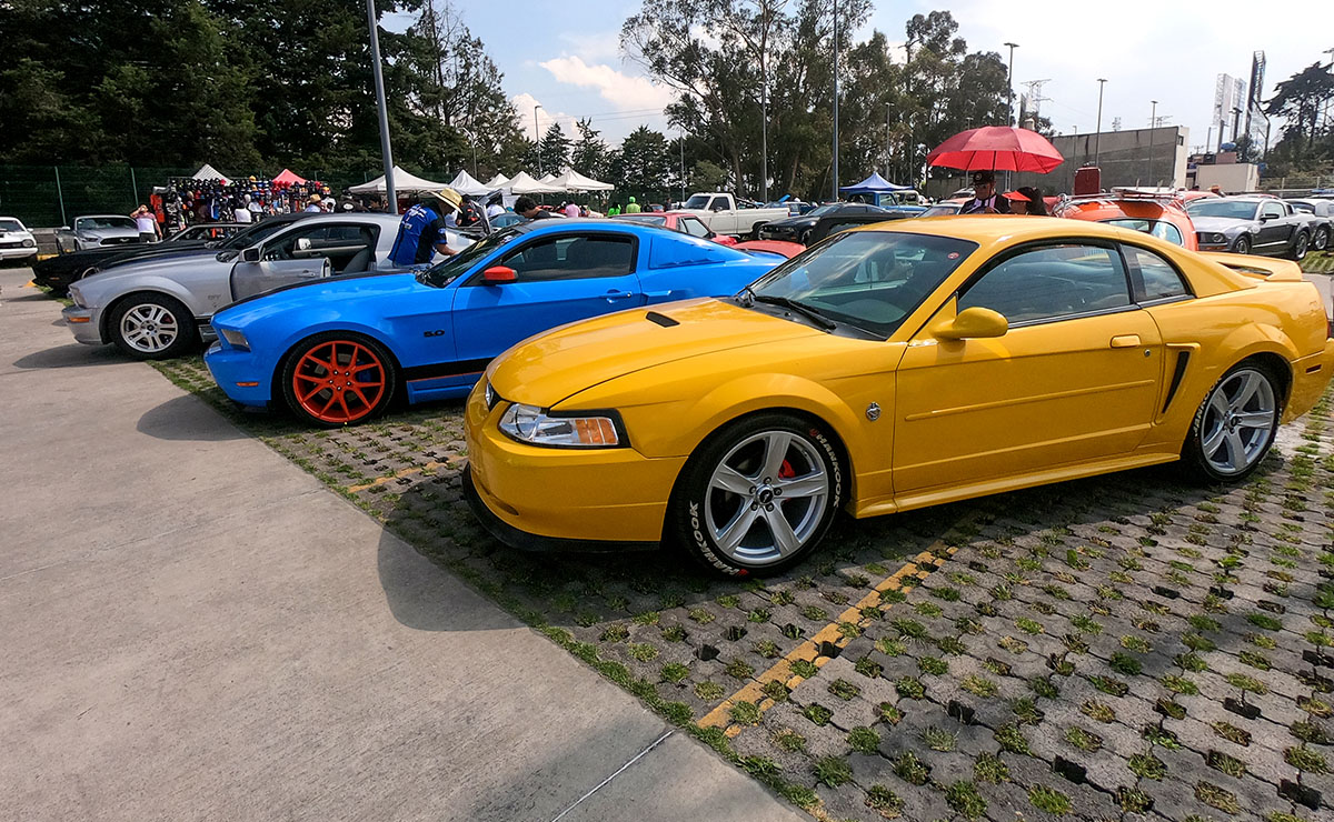 Los Amigos del Mustang Toluca