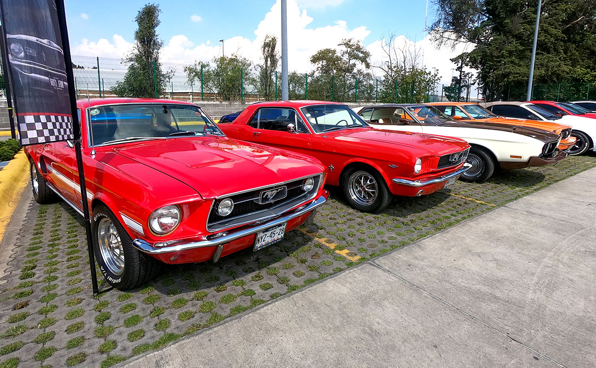 Los Amigos del Mustang Toluca