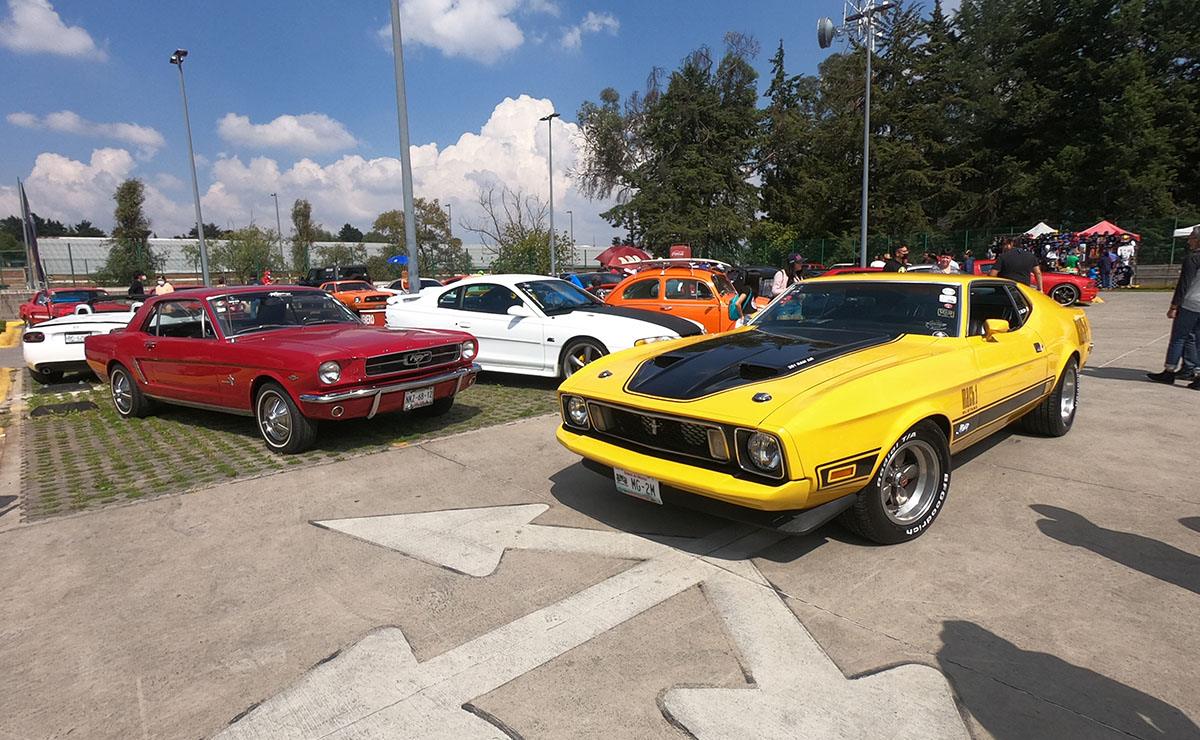 Los Amigos del Mustang Toluca