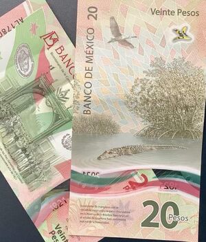 Por una letra, este billete de 20 pesos se vende ¡en 300 mil!