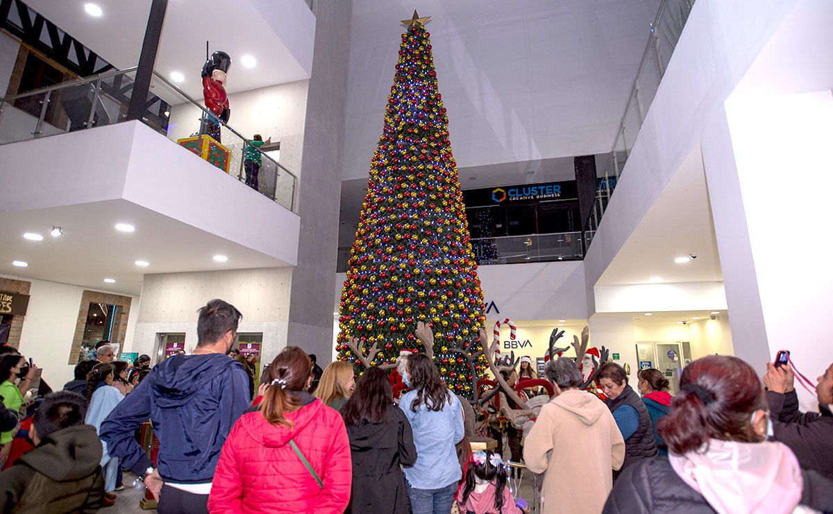 Nuevo Molino dió la bienvenida a la Navidad con el encendido del árbol