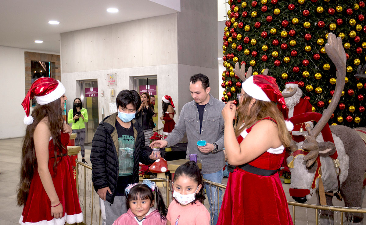 Nuevo Molino dió la bienvenida a la Navidad con el encendido del árbol