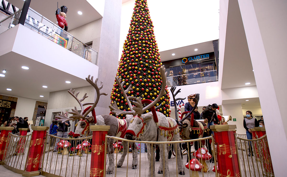 Nuevo Molino dió la bienvenida a la Navidad con el encendido del árbol