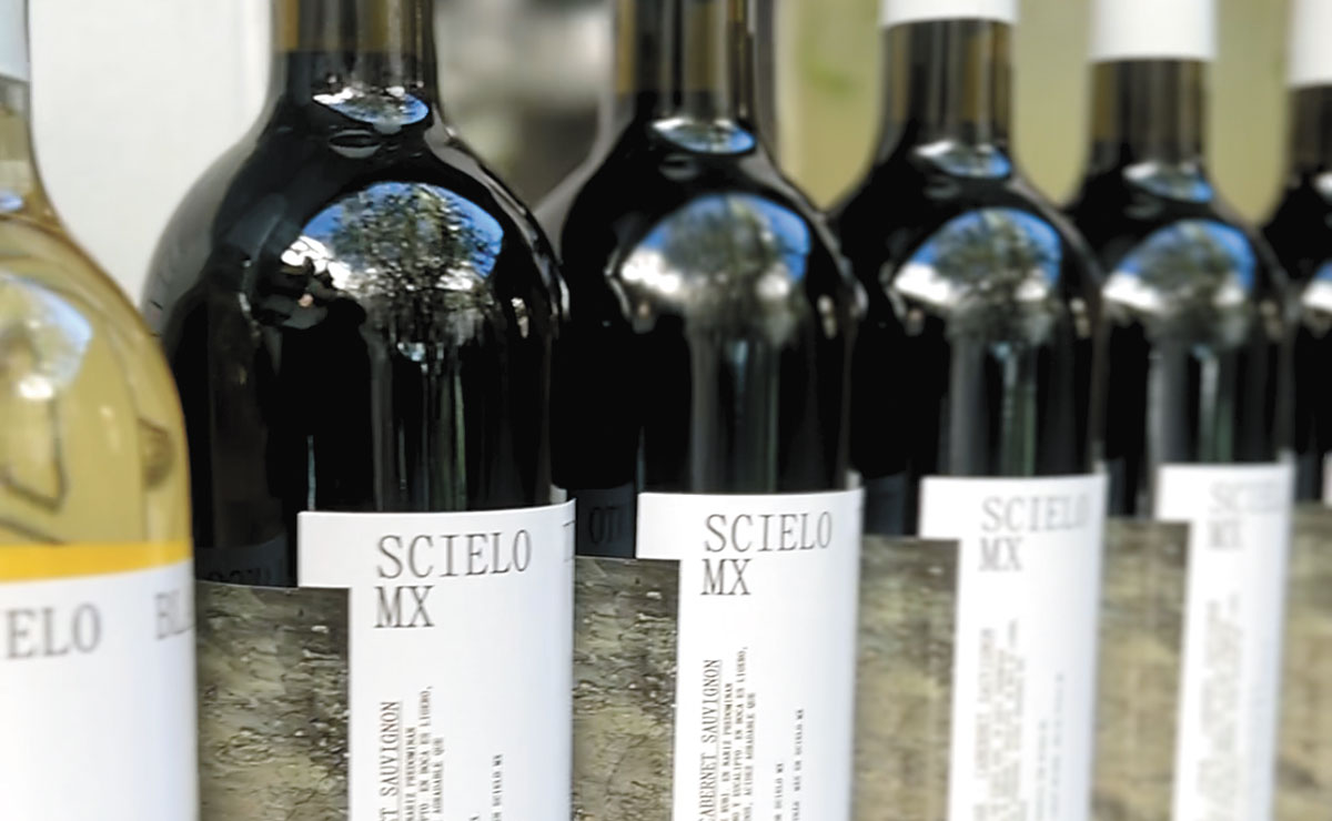 Bodega Rivero Gonzpalez