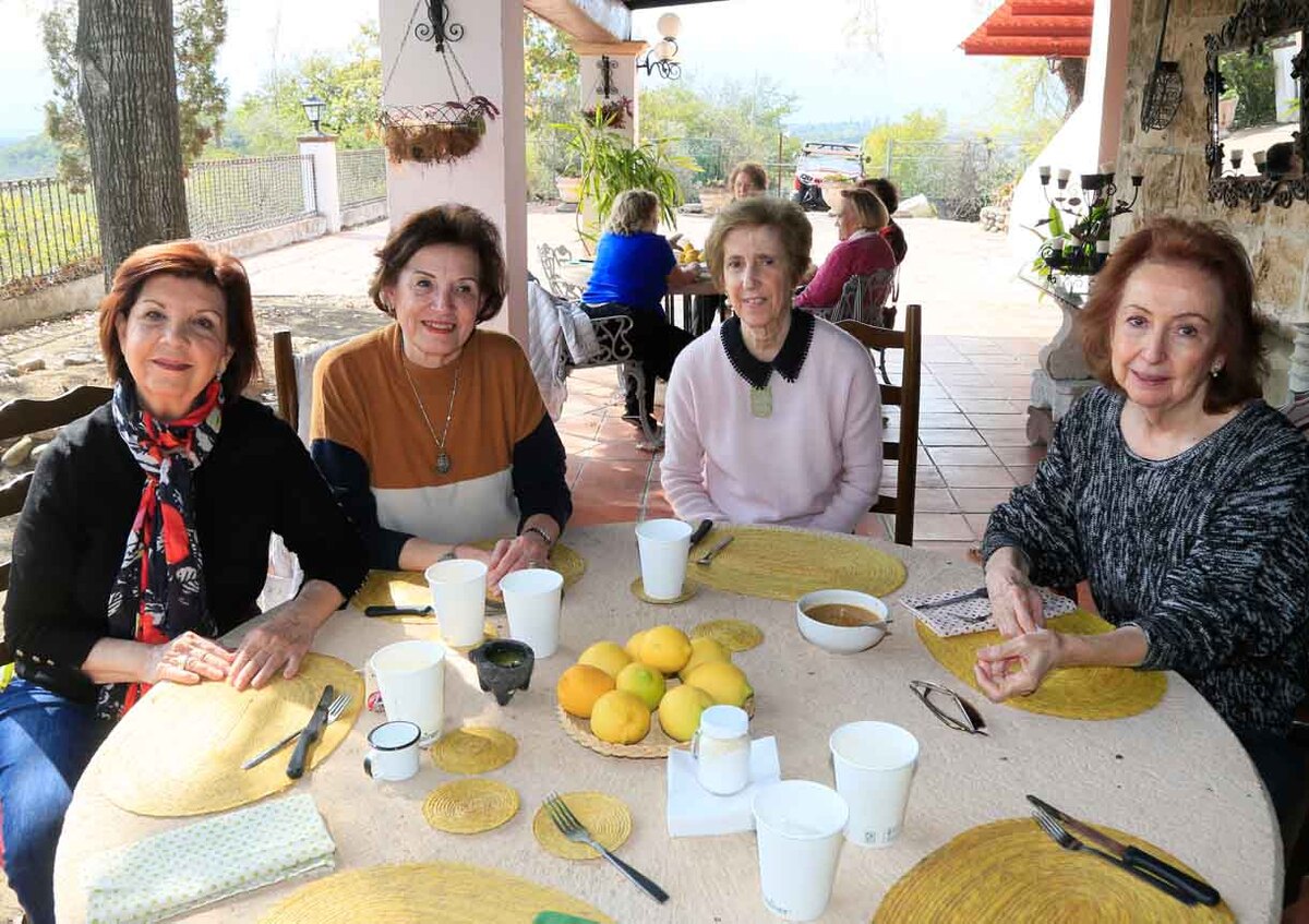 Eva Martínez de De la Garza Evia, Blanca Cavada de González, Olimpa Maiz de Coindreau, Cecilia Gorena de Gracida