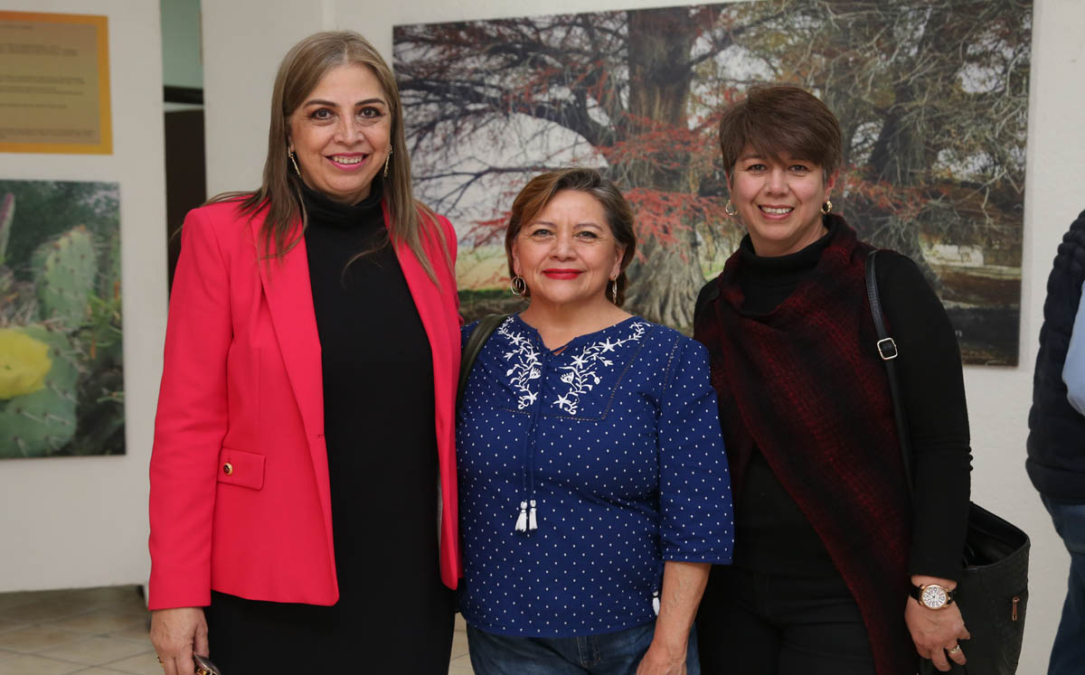 Arcelia, Carmen y Flor