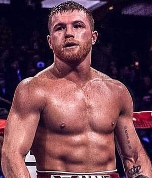Canelo en el ring Foto: Instagram