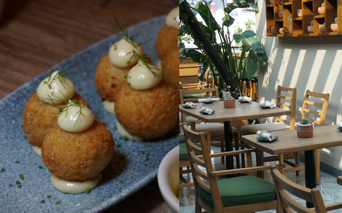 Palmares Azotea: El mejor rooftop de la Roma