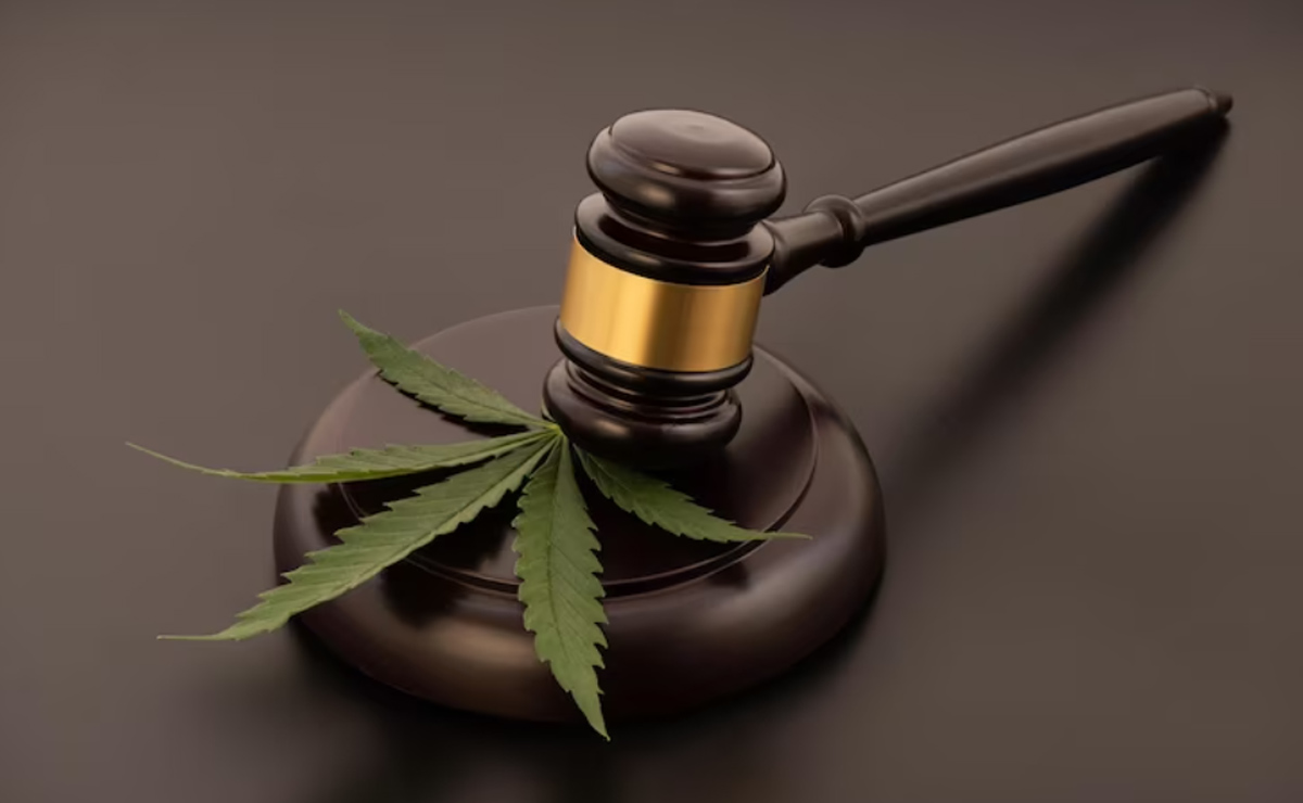 El debate legal del consumo de marihuana / Foto: Cortesía