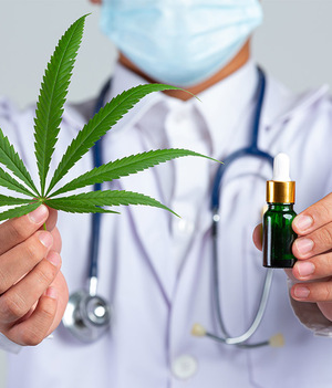 ¿Qué es la marihuana y cómo puede ayudarte en tu salud?/ Foto: Cortesía