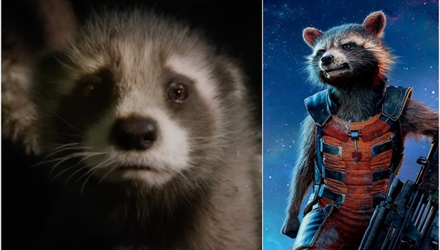 Rocket de Guardianes de la Galaxia: Así es su historia de origen (Foto: Instagram)