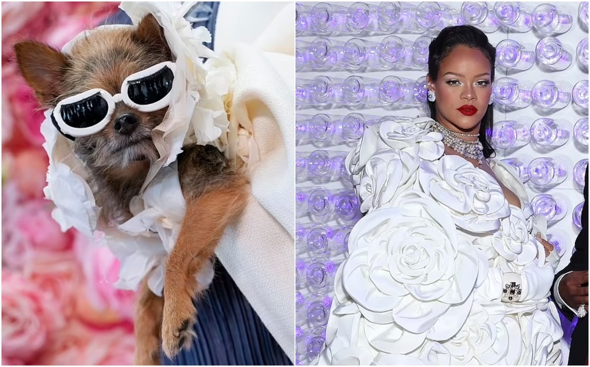 Perrito de rescate recrea el vestido de Salma Hayek en la Met Gala (Foto: Getty)
