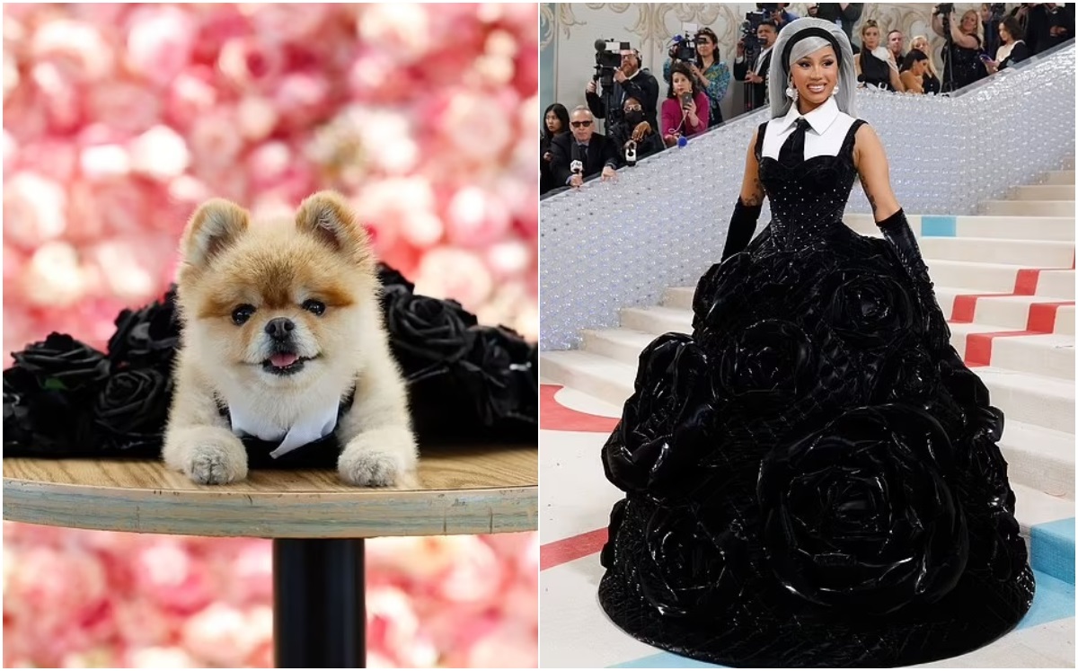 Perrito de rescate recrea el vestido de Salma Hayek en la Met Gala (Foto: Getty)