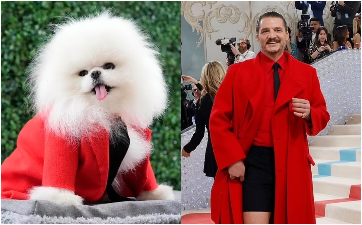 Perrito de rescate recrea el vestido de Salma Hayek en la Met Gala (Foto: Getty)